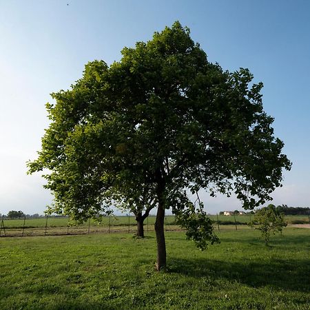 Agriturismo Cascina Graziosa Cameriano Buitenkant foto